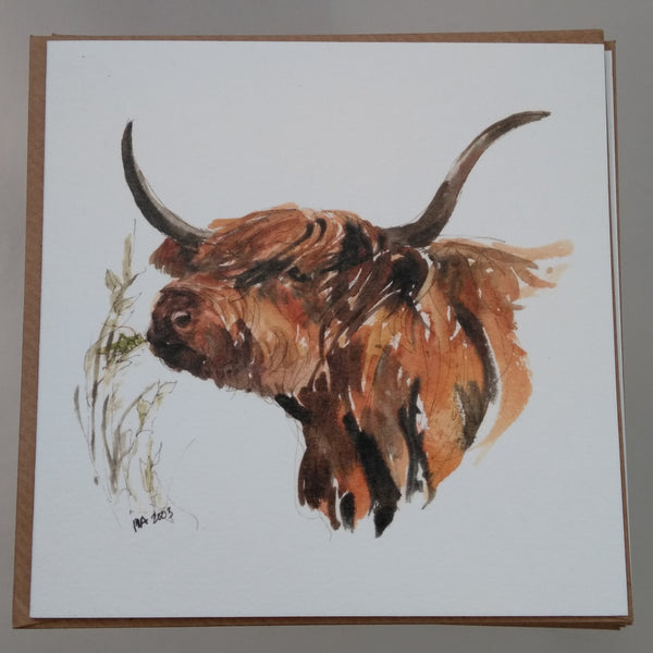 Set of 6 assorted Highland Cattle Greeting Cards