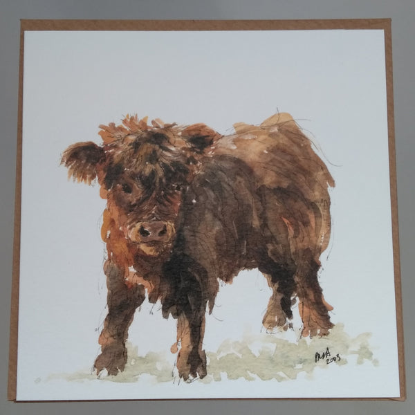 Set of 6 assorted Highland Cattle Greeting Cards